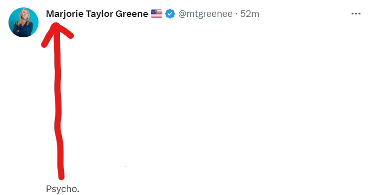 MichiganFemme's tweet photo. @mtgreenee Fixed it! https://t.co/iq5gWdQssL