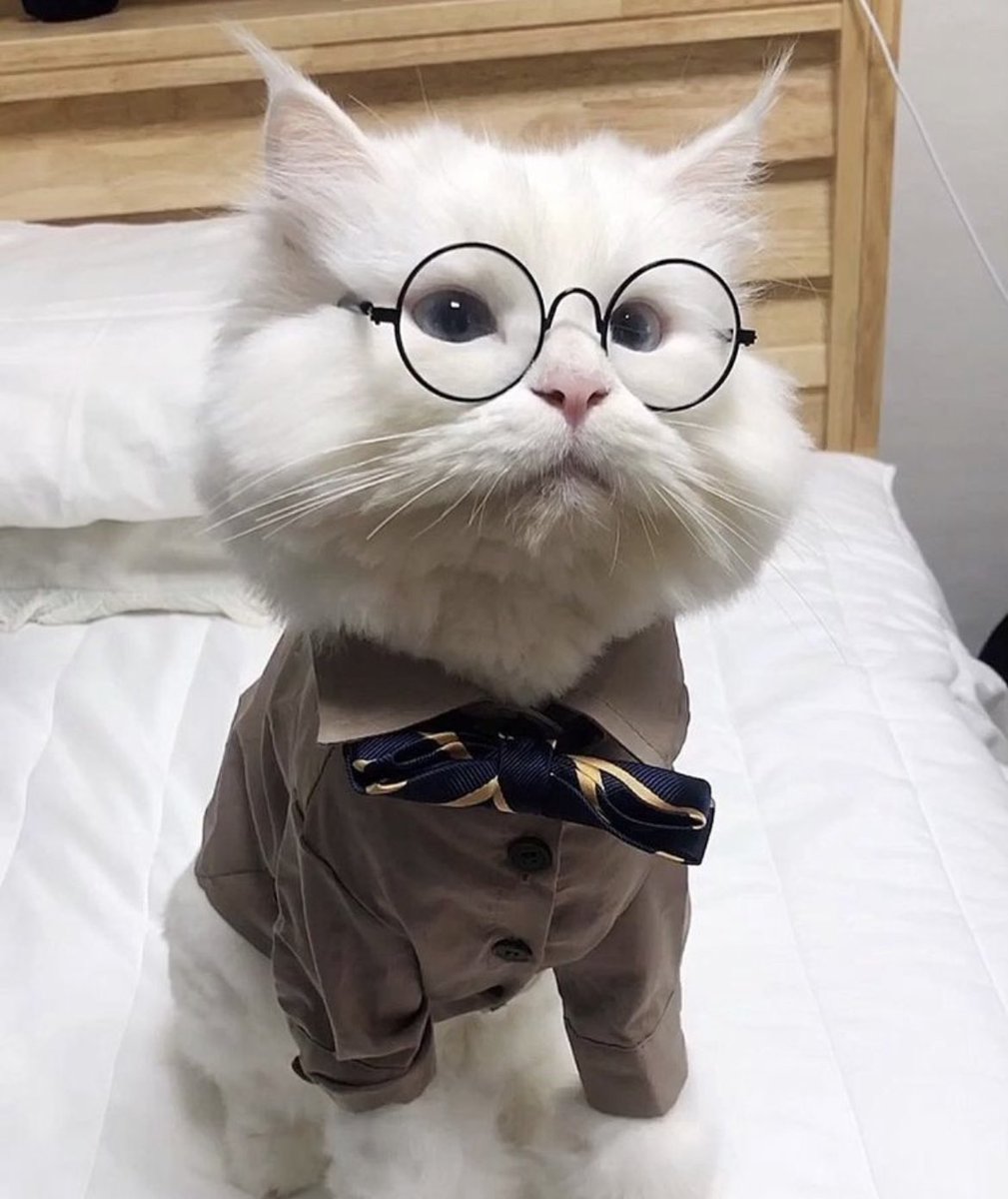 KWTARCHIVE's tweet photo. very fancy <3 https://t.co/k02jmICRlR