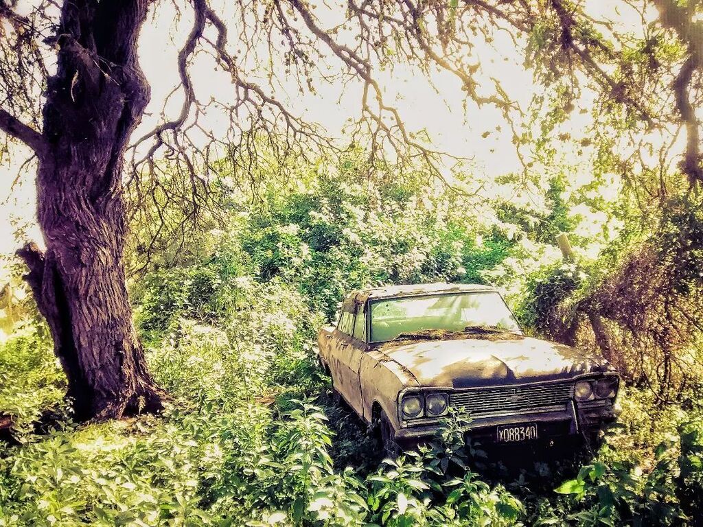 ritoroldan's tweet photo. He publicado en instagram https://t.co/oVlL0wxbhI #chevrolet #deanfunes #cordoba #argentina https://t.co/ctrATGWjWd