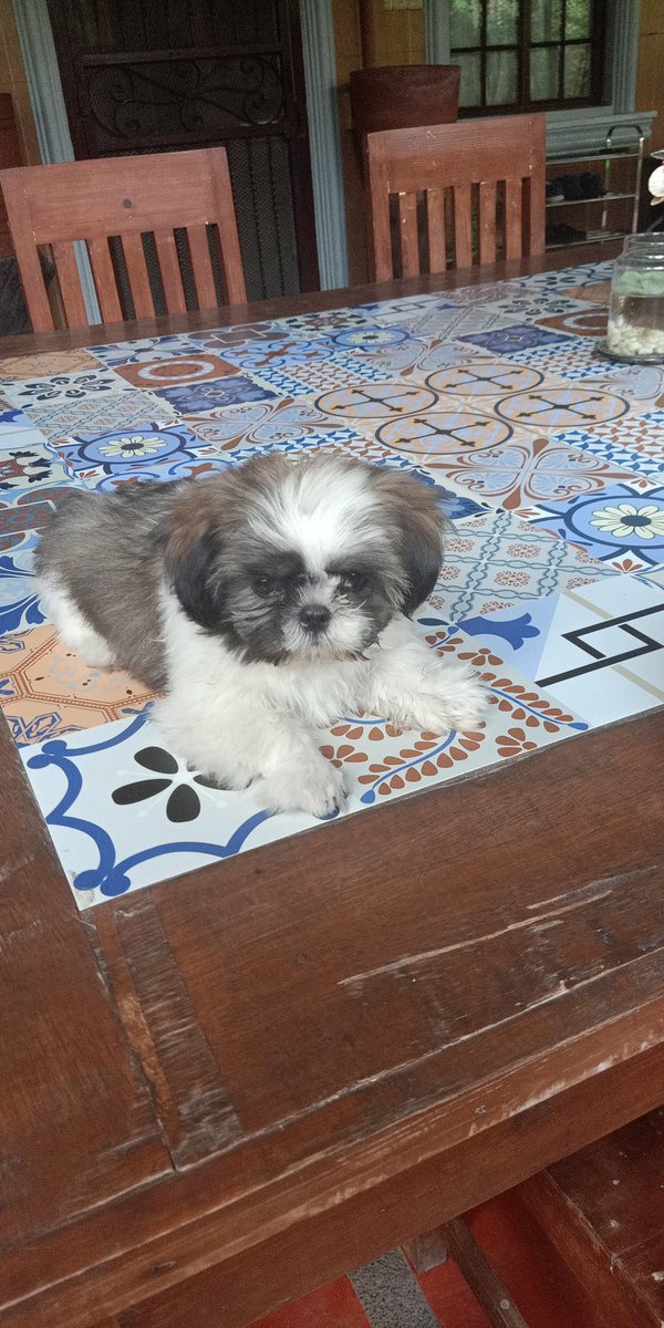 Good morning daw, sabi ni Bonget!