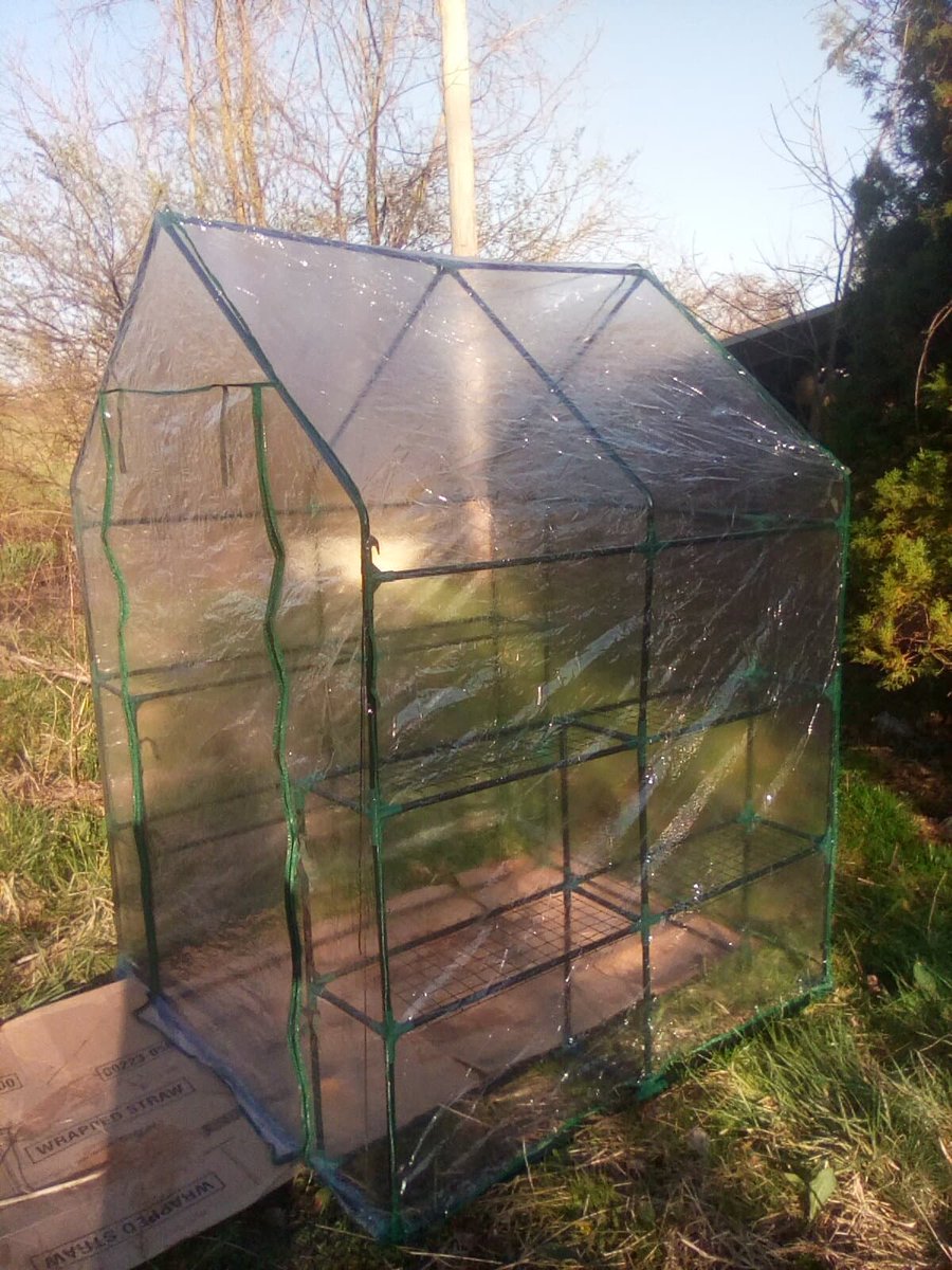 Haskaria now has a Greenhouse!!! With this, we're able to produce food earlier in the year, the next stage of our development is to start clear spaces to build cabins so we can begin to expand our self reliance. I expect that in the next few years, we will be accepting citizens