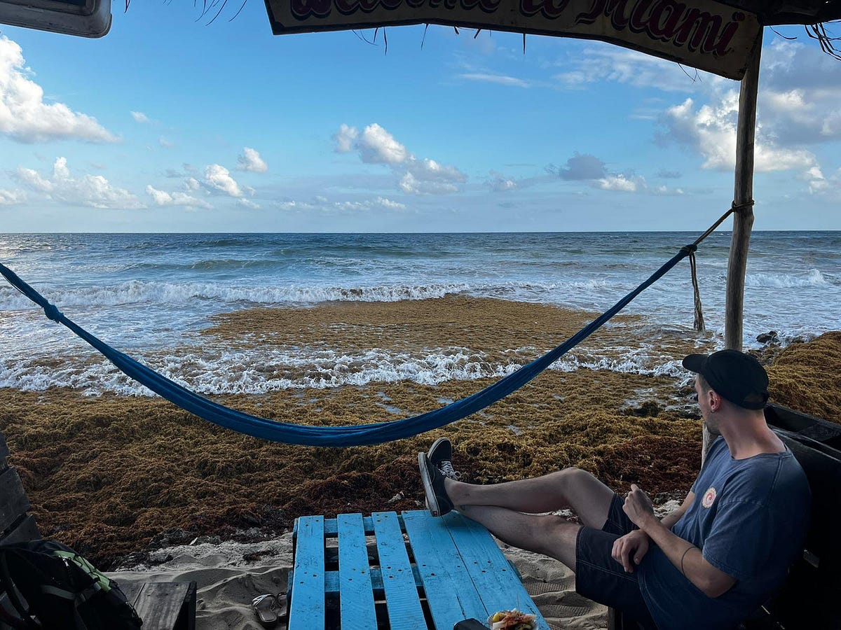 DrMattCrowson's tweet image. RT Thoughts on Stateful ML, Online Learning, and Intelligent ML Model Retraining dlvr.it/Sm12zN #machinelearningsystems #machinelearning #kubernetes