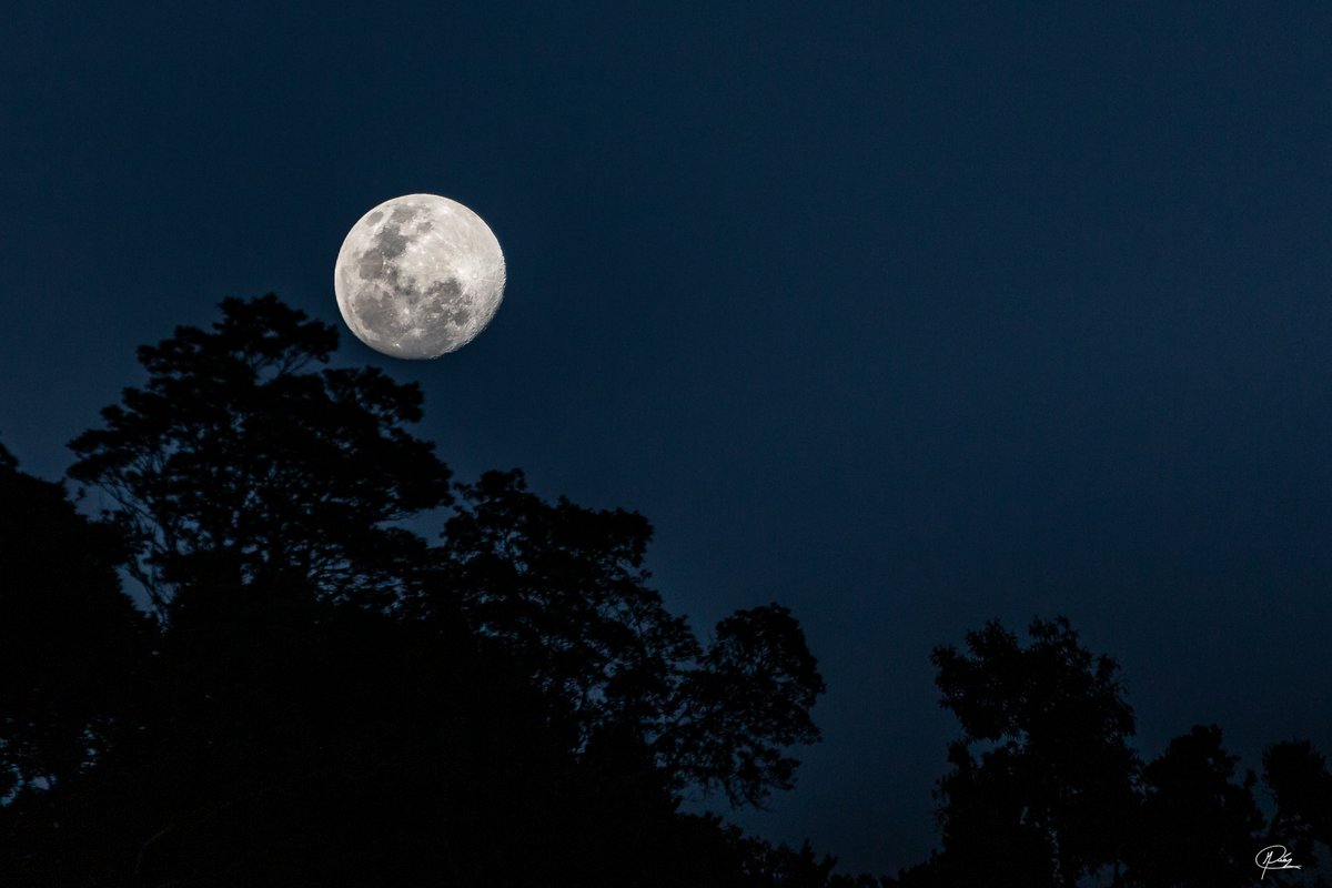 marcodiazfoto's tweet photo. As the moon slowly rises, the night sky transforms into a mesmerizing deep blue, casting a surreal, magical glow over the stunning landscape of San Gerardo de Dota. #landscapephotography #naturephotography #landscape_capture #costarica #moon https://t.co/Vmwj8LFbf4