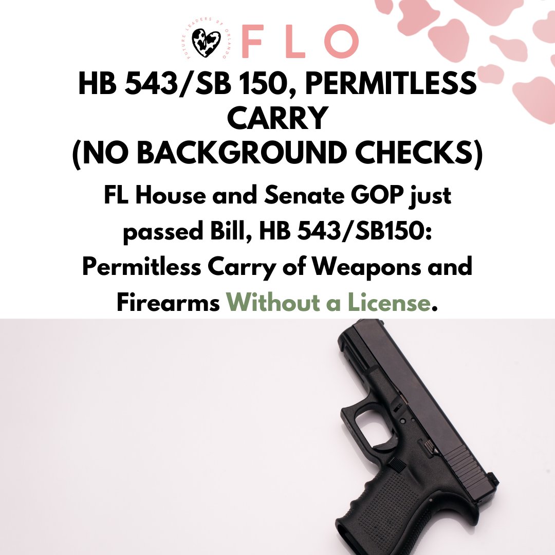FutureLeadersFl's tweet photo. HB 543/ SB 150 permitless carry was recently signed into FL law. This law allows people to purchase firearms with no training or background checks on concealed carry. 

Organizations to get involved against gun violence include:
@mfolucf @momsdemand @studentsdemandfl https://t.co/12pd4oV4EX