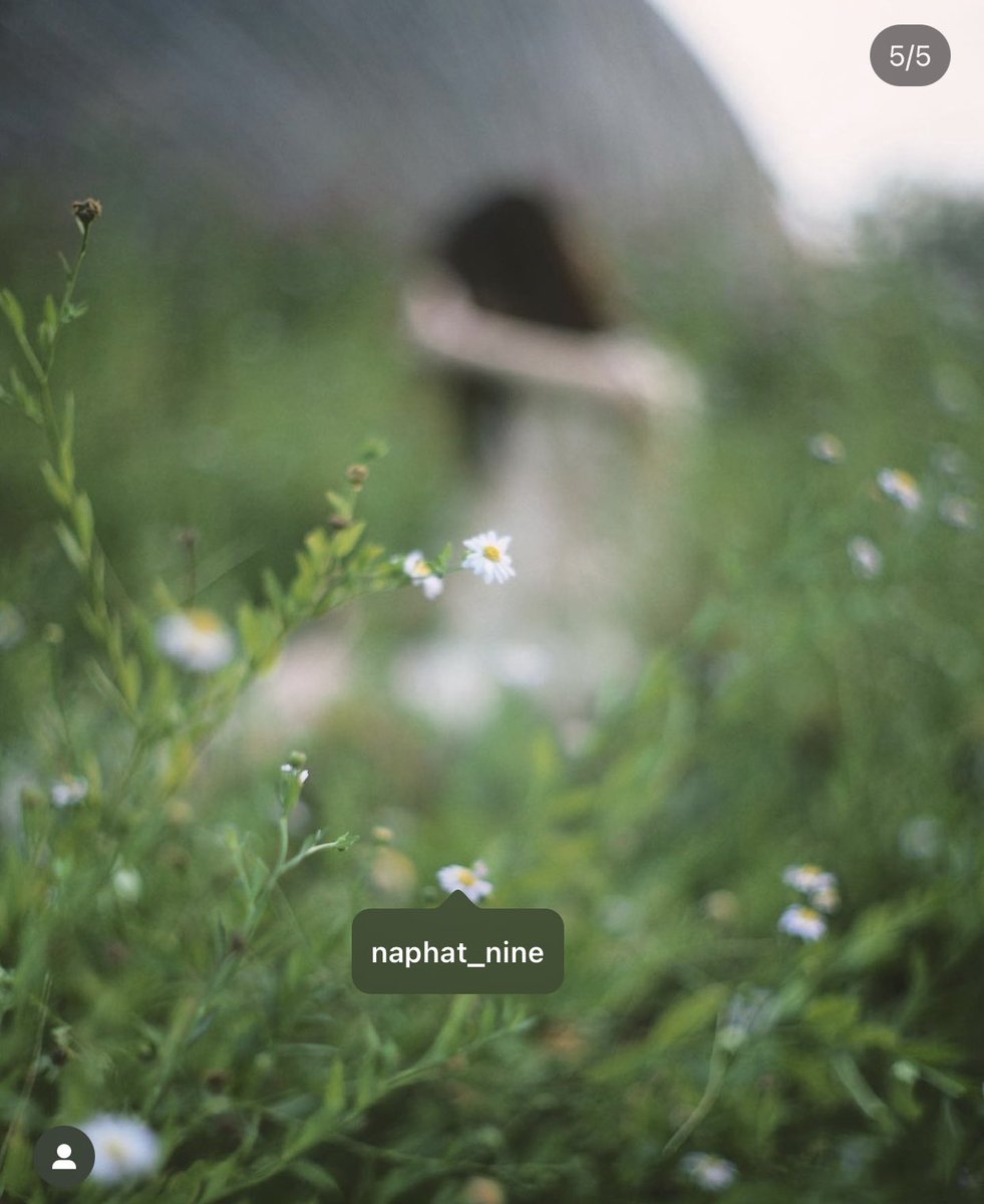 UnderbedDara's tweet image. นุ้งใบขาเสิร์ฟให้อีกเซ็ต เซ็ตนี้พิเศษตรงเห็นตากล้องด้วยค่าาาาา

ไม่ใช่เขาใหญ่ละ นี่มันเขารักกันนนนน 

#นายใบเฟิร์น #ใต้เตียงดารา