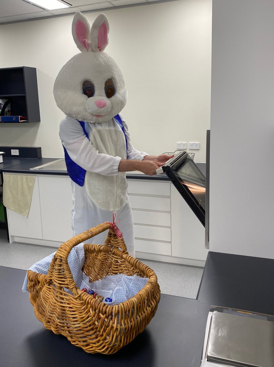 MBGYeastTech's tweet photo. The Easter Bunny made a special appearance at #MicroBioGen...

Whilst hiding easter eggs, he learnt about MicroBioGen's proprietary platform tech for developing yeast for different industries, ranging from #baking &amp; #alternativeproteins to #biofuels, #biochemicals and more. https://t.co/4DtRQgMh80