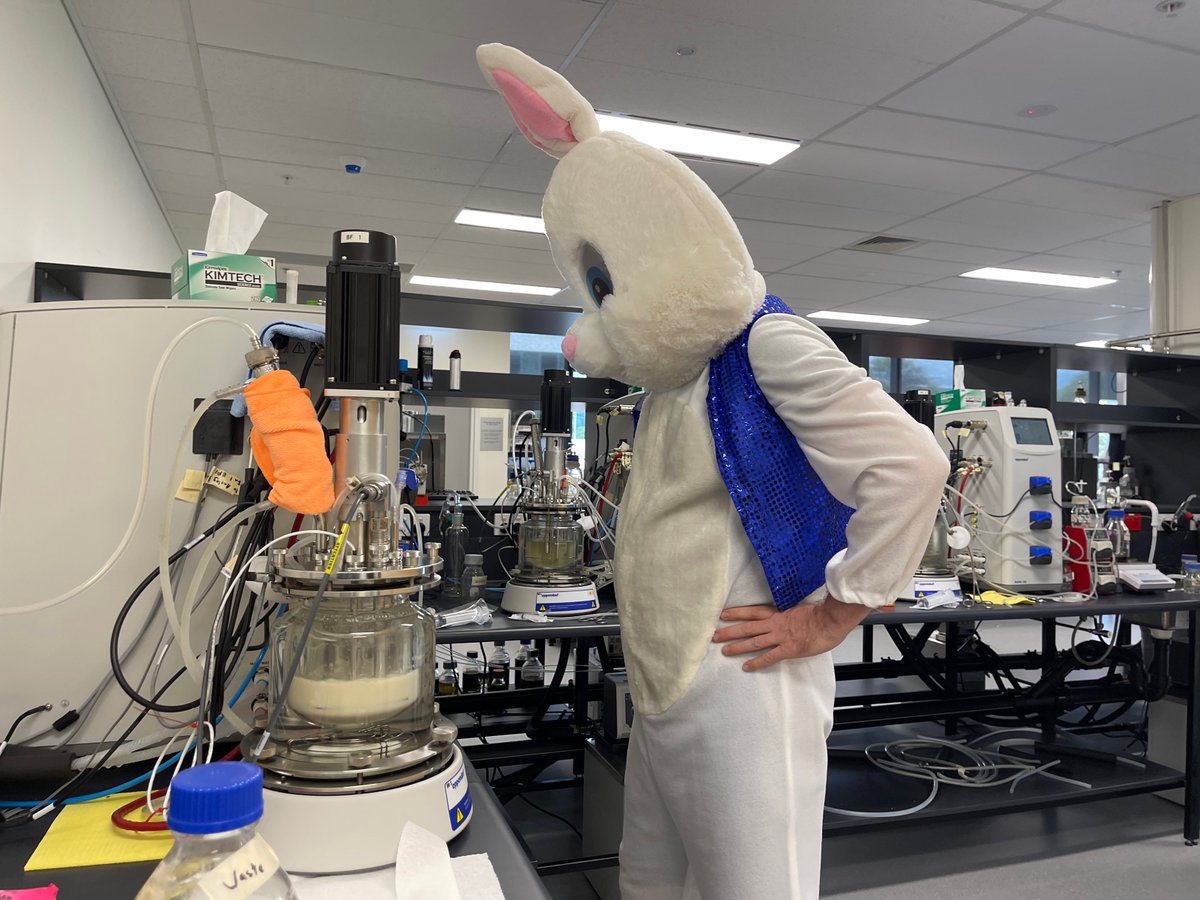 MBGYeastTech's tweet photo. The Easter Bunny made a special appearance at #MicroBioGen...

Whilst hiding easter eggs, he learnt about MicroBioGen's proprietary platform tech for developing yeast for different industries, ranging from #baking &amp; #alternativeproteins to #biofuels, #biochemicals and more. https://t.co/4DtRQgMh80