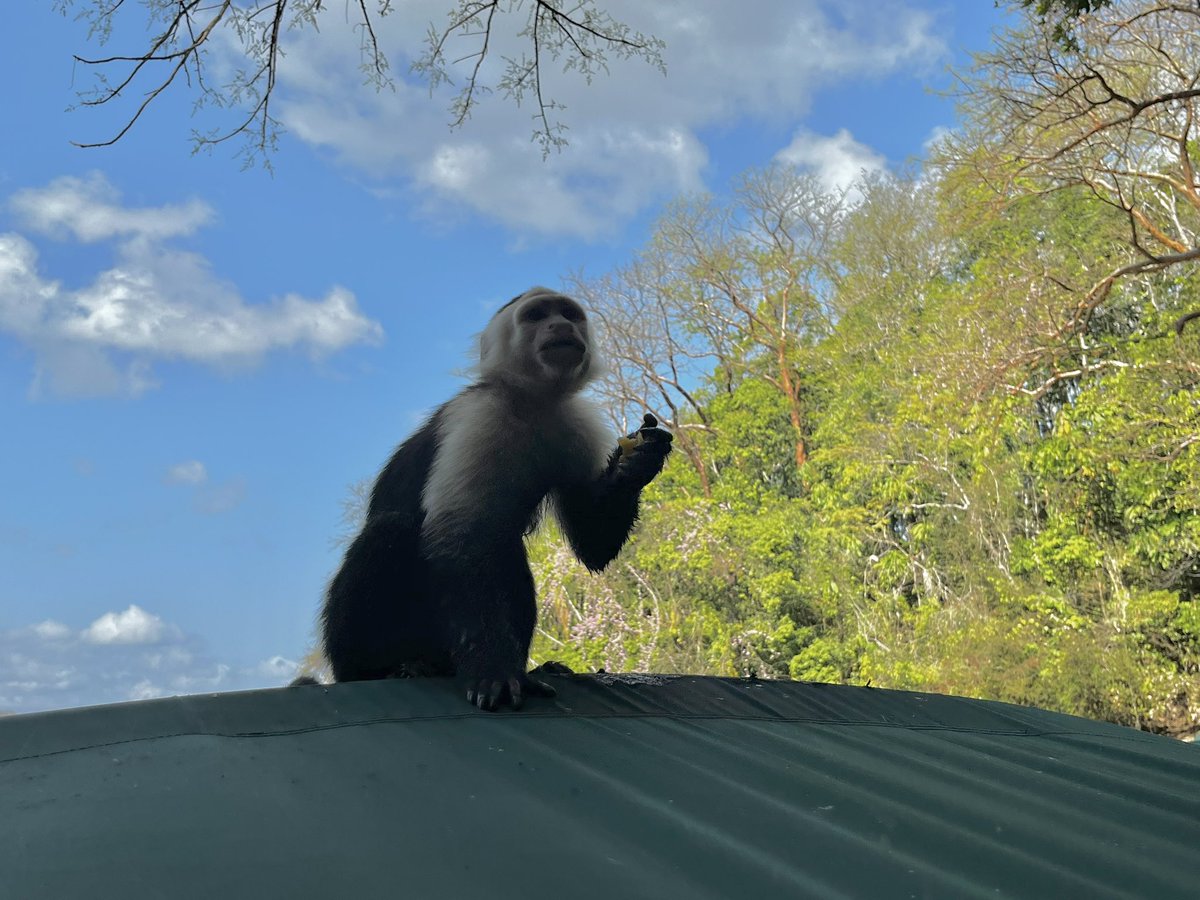 rojasjenn90's tweet photo. Nothing like direct contact with nature to remind us how lucky we are. Here at #Panama you can see Planet Earth in all its splendor! @EFtours #1RamWay https://t.co/xZPNDXDjjX