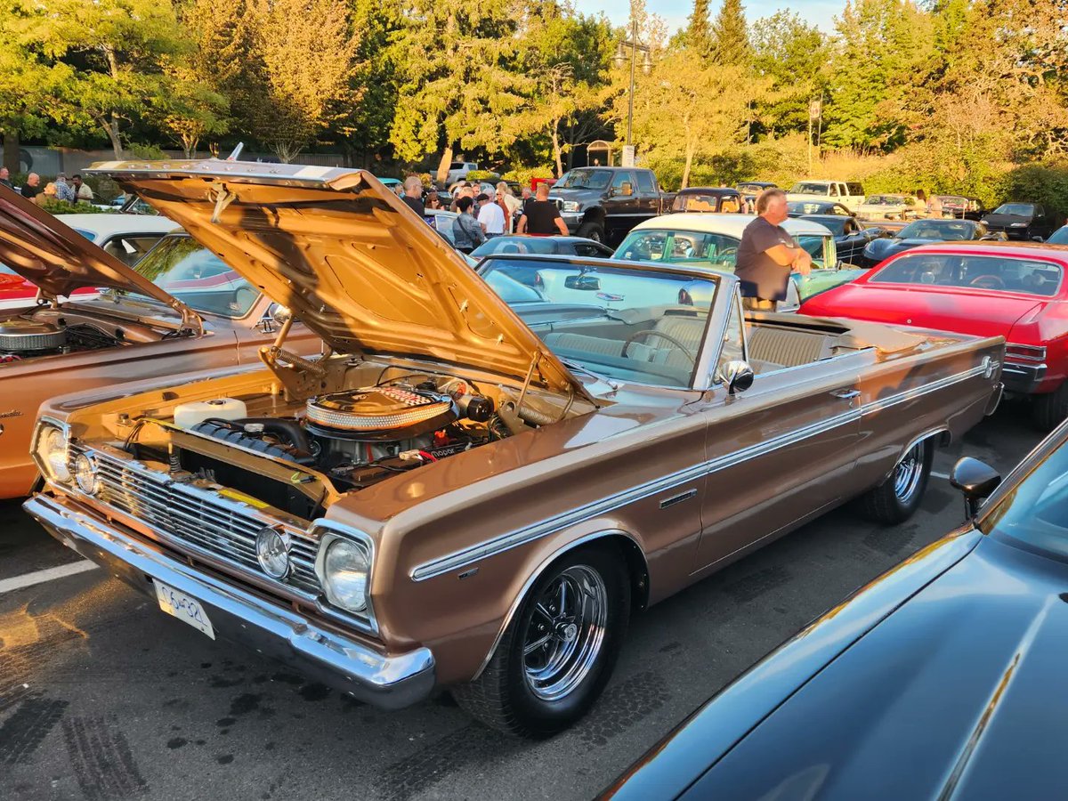 mopars_and_more's tweet photo. 1966 plymouth belvedere 440 six pack 1966plymouth #66plymouth #1966plymouthbelvedere #66plymouthbelvedere #1966belvedere #66belvedere #440 #440sixpack #bigblock #moparbigblock #mopar #moparornocar @OfficialMOPAR https://t.co/dDq4xGyE2j