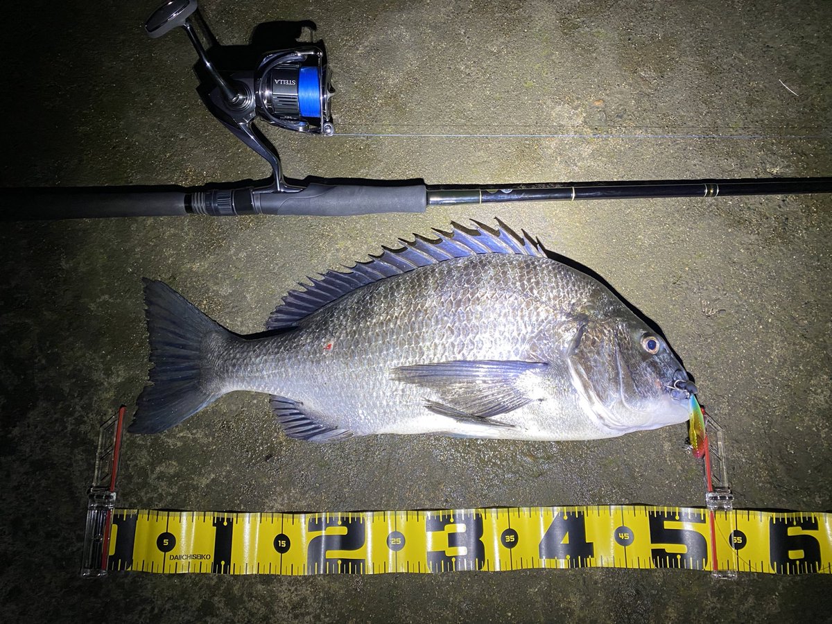 seabass_hirame's tweet photo. チヌ
#年なし
#サルベージS
#BK
#22ステラ3000MHG
#22STELLA3000MHG
#ヤマガブランクス
#YAMAGABlanks
#EarlyPlus96m https://t.co/7CfOYl3n7t