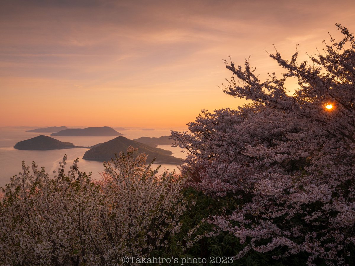 ugutaro2's tweet photo. 香川県紫雲出山の桜🤗
葉桜もちらほらあったけど
瀬戸内海と桜のコラボが美しい💯
#香川県　
#紫雲出山　
#桜　
#私の作品もっと沢山の人に広がれ祭り　
#写真で奏でる私の世界　
#写真で残したい風景　
#キリトリセカイ　
#ファインダー越しの私の世界　
#om1 https://t.co/20CYgUH90t