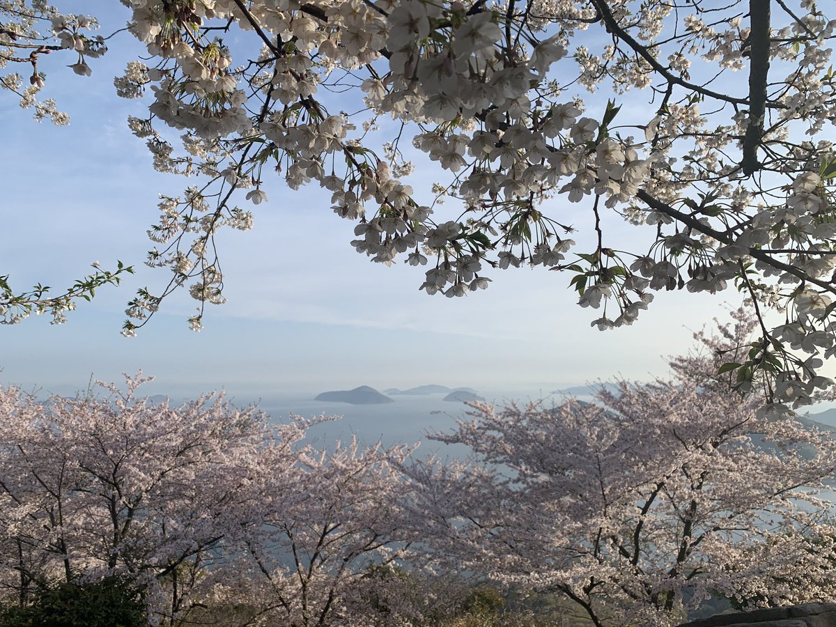 ugutaro2's tweet photo. 香川県紫雲出山の桜🤗
葉桜もちらほらあったけど
瀬戸内海と桜のコラボが美しい💯
#香川県　
#紫雲出山　
#桜　
#私の作品もっと沢山の人に広がれ祭り　
#写真で奏でる私の世界　
#写真で残したい風景　
#キリトリセカイ　
#ファインダー越しの私の世界　
#om1 https://t.co/20CYgUH90t