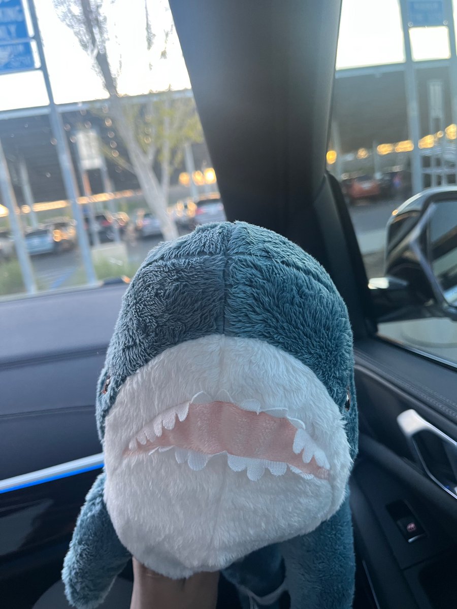 sumoscalz's tweet photo. @antiquecorpse HES A SILLY GUY ! https://t.co/f1UmE0l1rj