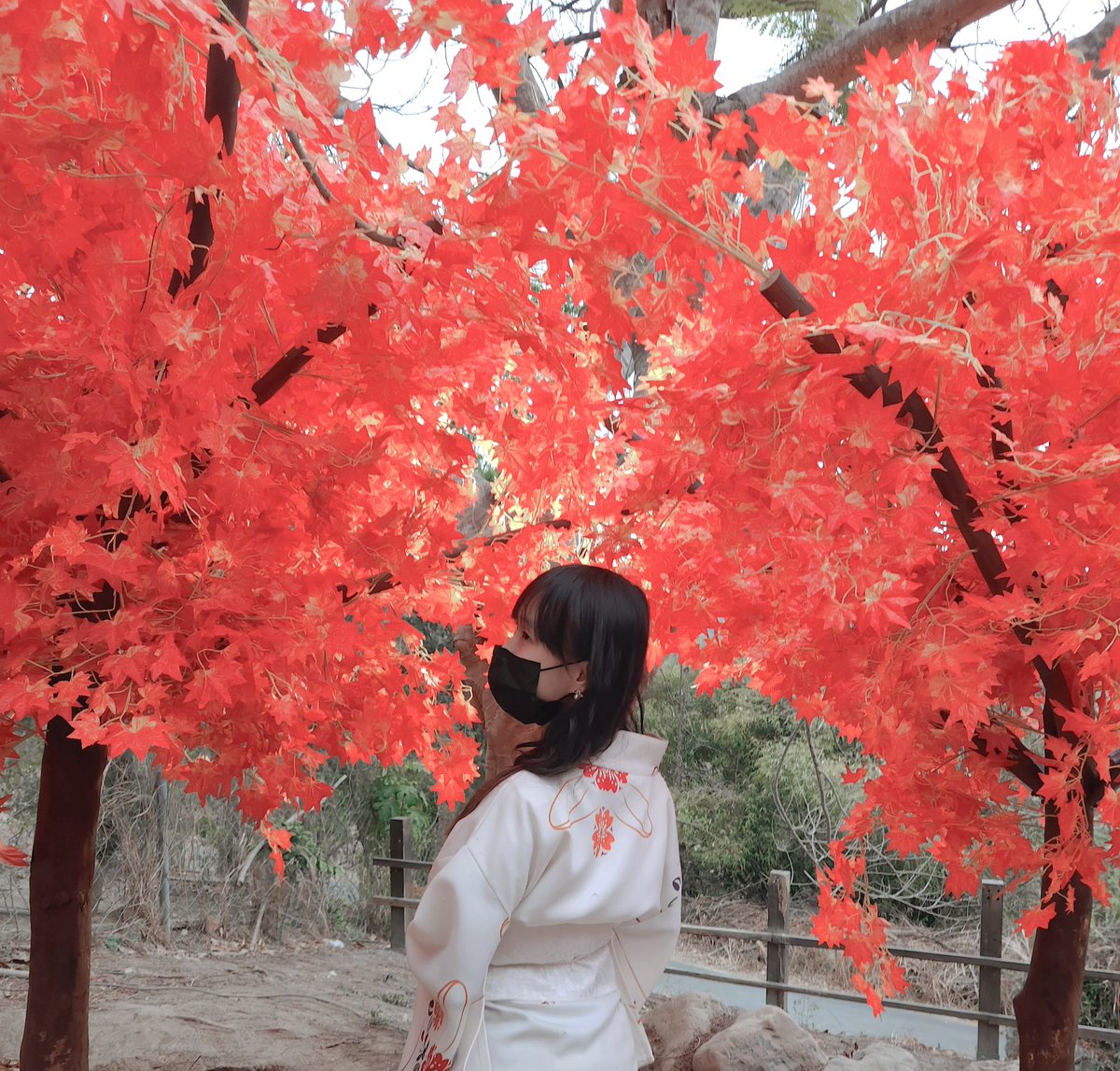 蕾醬 Lei tweet media