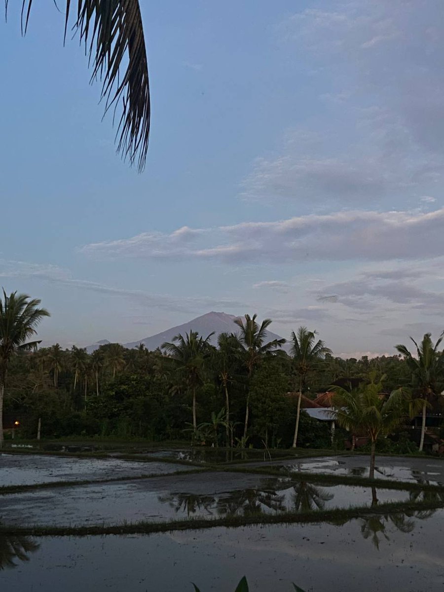 Maxim | Web3 builder 🦄 tweet media