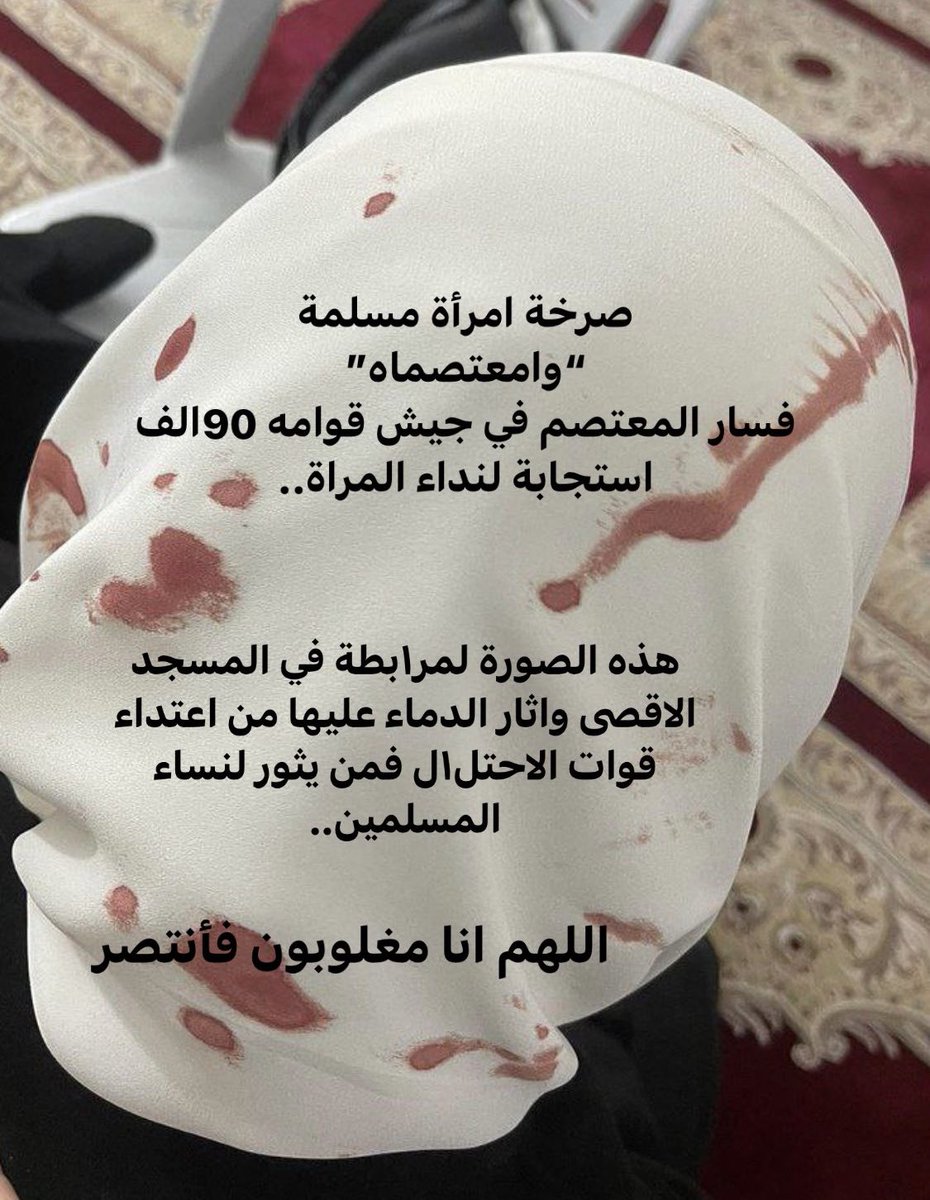 ahmedhijazee's tweet image. 