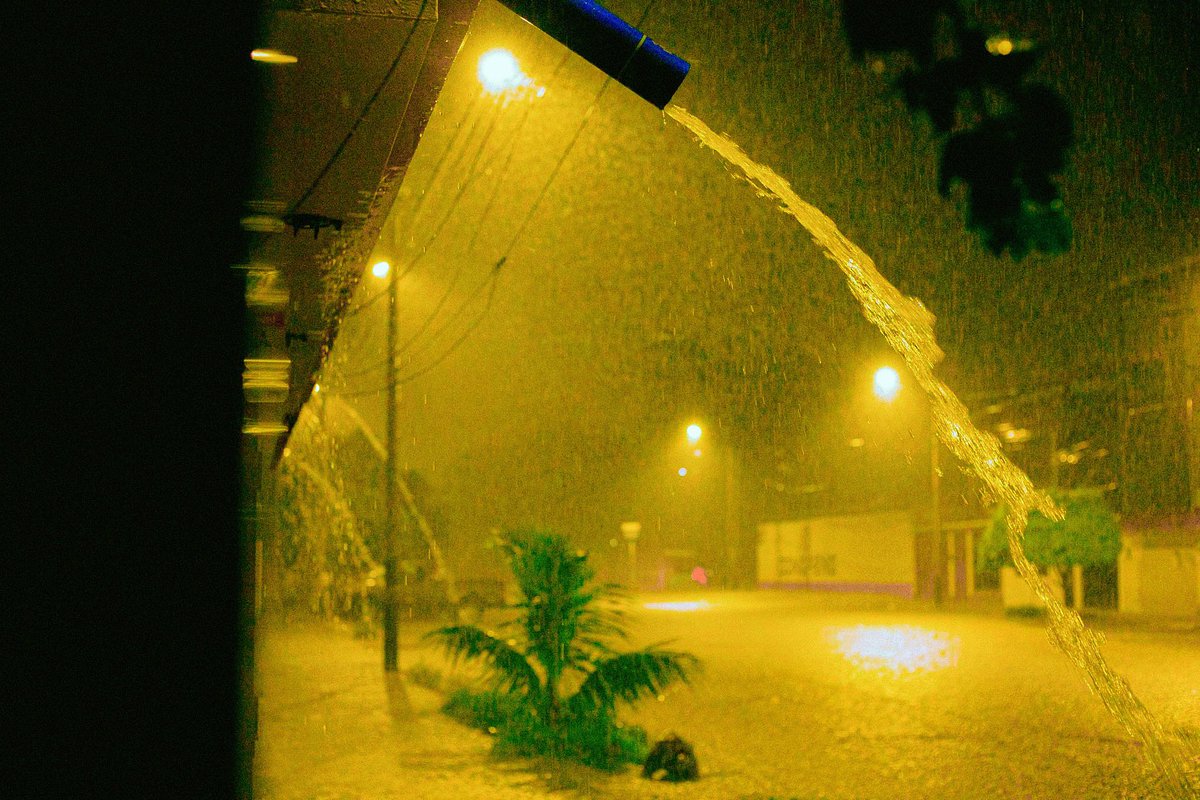 sainteamelie's tweet photo. piura pero dirigida por wong kar wai https://t.co/G27jfvkkJe