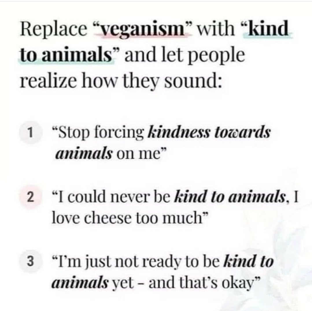 purpleveganlady's tweet photo. https://t.co/0YO5gpkVKw