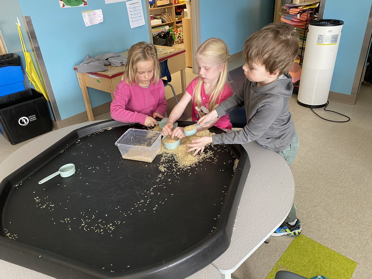 MsYhapRECE's tweet photo. We were mathematicians today, as we measured the rice into containers. #Demonstrating literacy and mathematics behaviours @MsMcNiece @MmeCowper @StPhilipOCSB https://t.co/IFowC2Hqvm