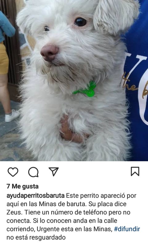 PerroUsuario's tweet photo. En la calle está expuesto a muchos peligros RT @Soynegroalberto: Increíble que no lo han podido resguardar. Difundir para que aparezcan sus dueño y este a salvo. Baruta, caracas  https://t.co/6DYm2SPHlx