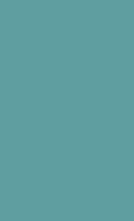 "Cadet Blue"
#5f9ea0