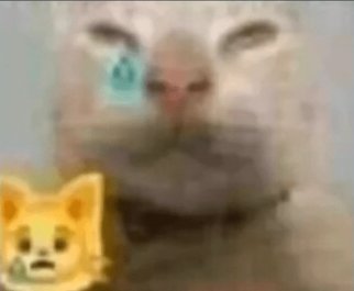 que frustracion el gimnasio y patin