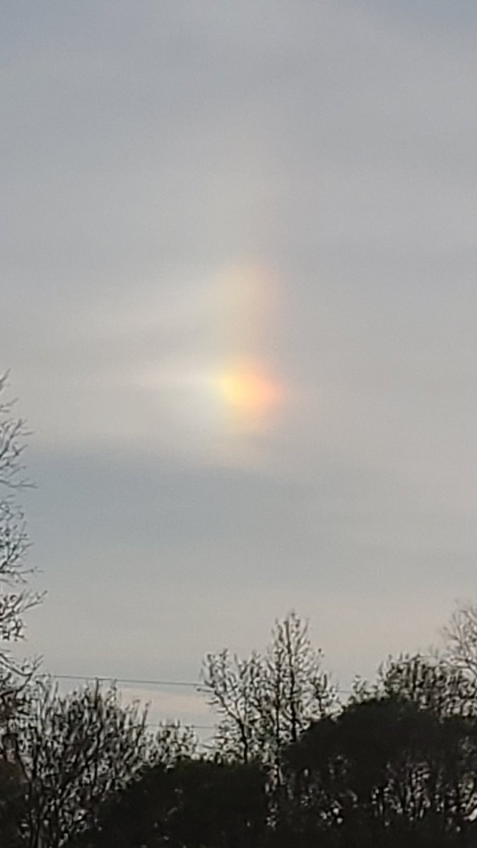 Tracy Whitten tweet media