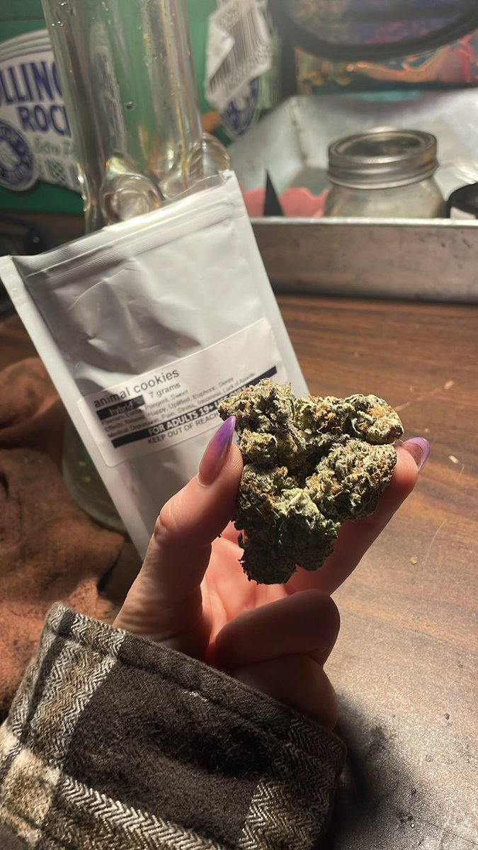 axleottle's tweet image. Went to grab a nug for my first toke and I grab this massive  heart nug @HerbApproach #herbapproach #toketuesday