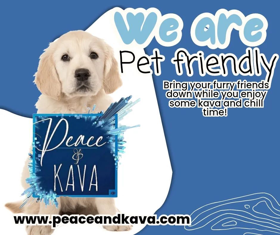 Bring your furry friends down to Peace and Kava! We are pet friendly!