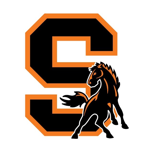 Baseball -- Schuylerville 14, Hoosic Valley 1
