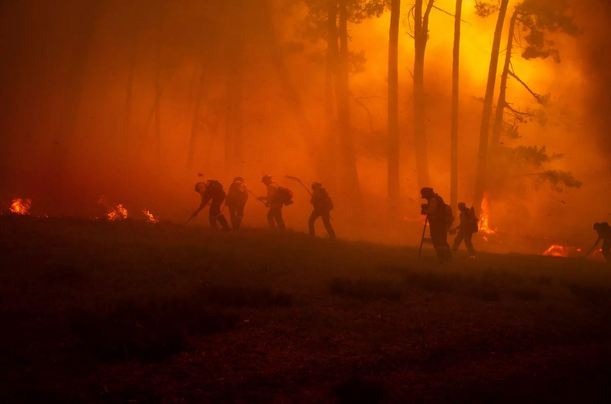 Senat's tweet photo. 🔥 Le Sénat a adopté à l'unanimité la proposition de loi visant à renforcer la prévention et la lutte contre l'intensification et l'extension du risque incendie.

🔗 Amendements adoptés : https://t.co/L0yPdzAG3H
🌐 En savoir plus sur le texte : https://t.co/mxlm3QiXJh https://t.co/pliCgjGh4b