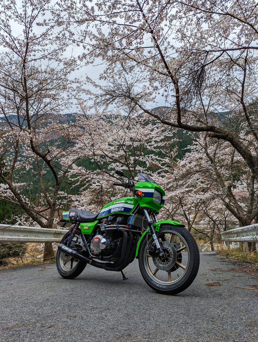 monstergreeeen's tweet photo. #鯖街道 #R367 #桜 #kawasaki #eddielawsonreplica https://t.co/oSH1krP6YS