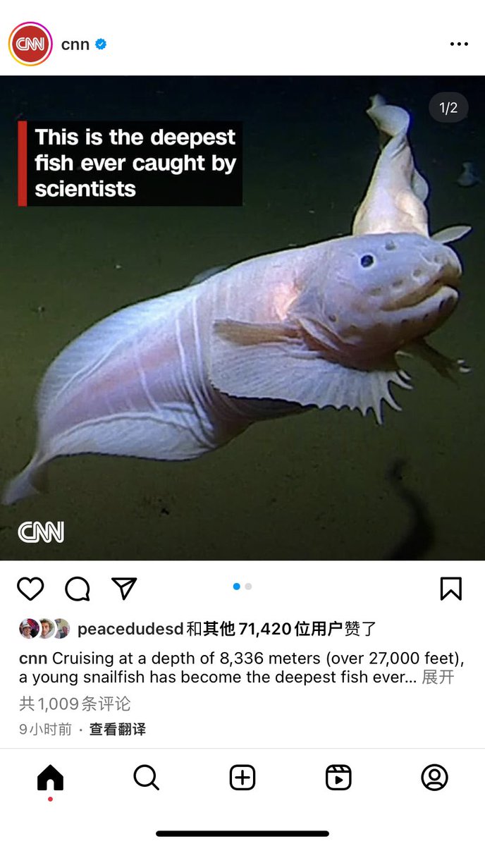 JamesCageWhite's tweet photo. Breaking news: this is deepest fish 🐟 living in the sea https://t.co/zAL0JJk1zW