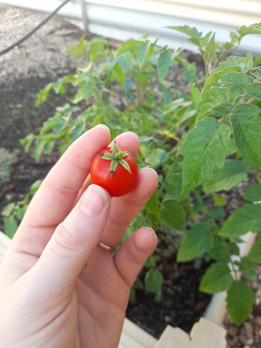 Jay-Anna Mobbs tweet media