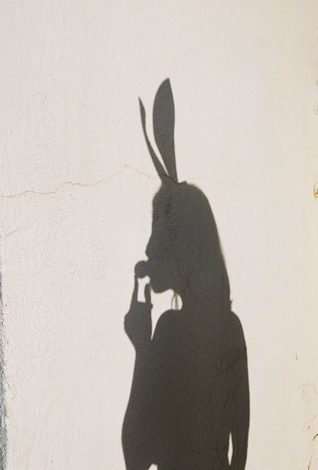 🐣 https://t.co/o7cWRzMxk2 🐇 https://t.co/sthZOwwKbj