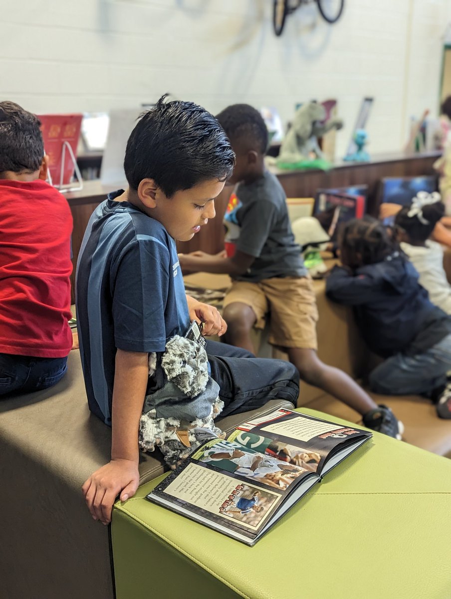 Timberslibrary's tweet photo. To kick off #SchoolLibraryMonth 1st grade read Madeline Finn and the Library Dog and then read to our library stuffed animals. @HumbleISD_lib @HumbleISD_TE #thehumblelibrarian @LuciSchulz1 @ALALibrary @aasl https://t.co/BRRVu8ccAM