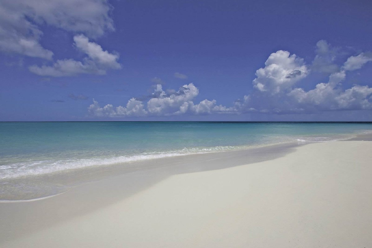 Alligator_Point's tweet photo. Do you need a vacation? Ask us about our off season rates!!!! #vacationrental https://t.co/DDLgPKPy9A https://t.co/GZZyY7decw