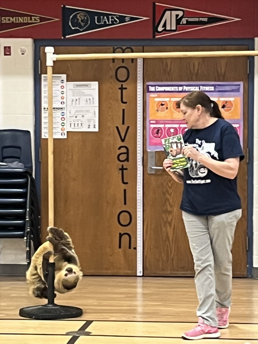 右サイドの星_17⚽ tweet media