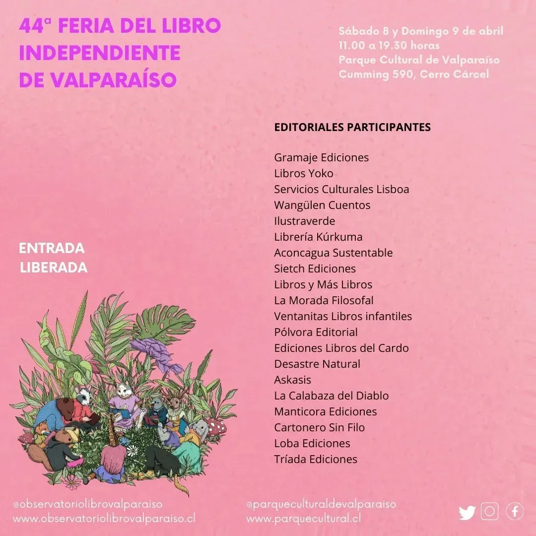 FLIV Valparaiso tweet media