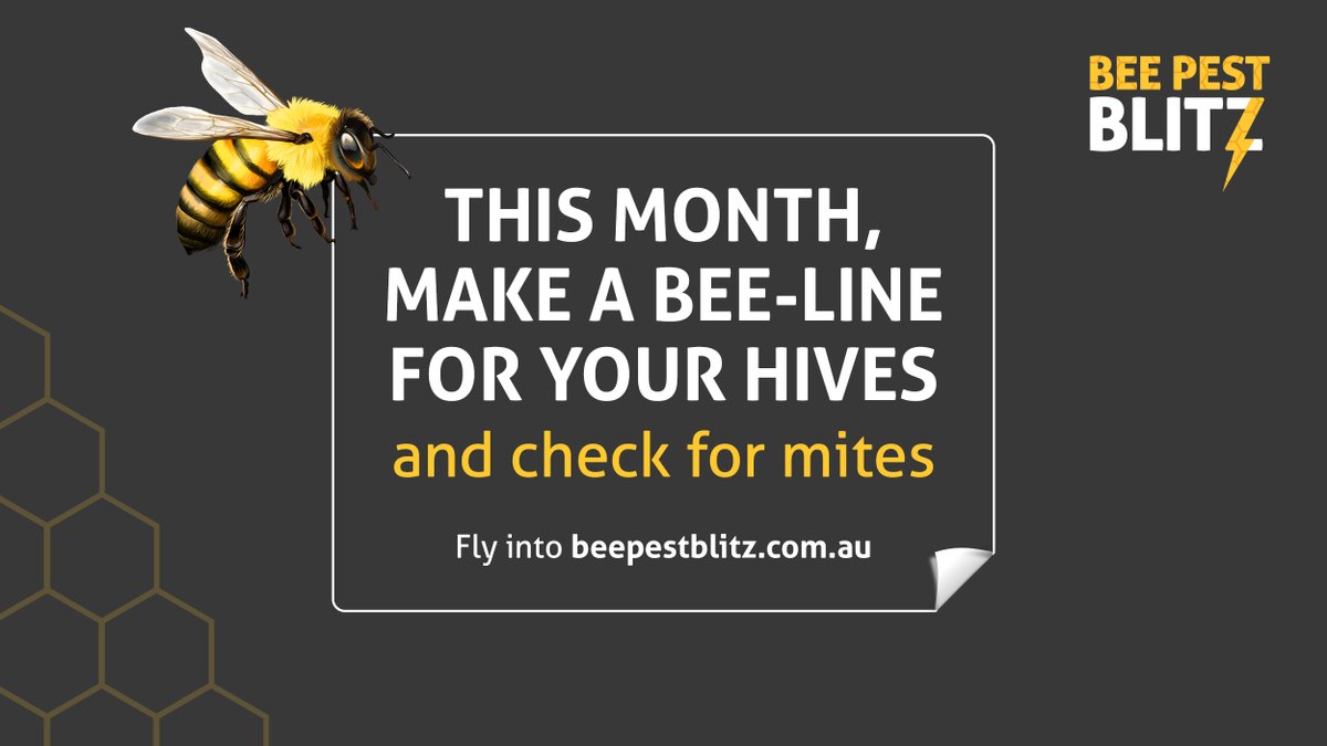 planthealthaust's tweet photo. Surveillance is key for the timely detection of new pests & provides the best chance for industries & governments to respond before pests establish. Visit https://t.co/k6qn1rkA8H for free surveillance resources. #beepestblitz #biosecurity #sharedbenefits @AustBee @DAFFgov https://t.co/APmZBmRE0i