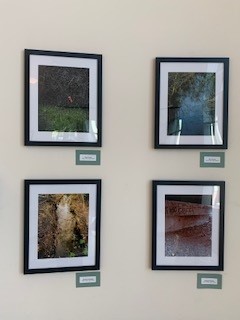 An exhibit of photographs taken by talented students from Pinole Valley High School is on display at City Hall in honor of Earth Month. 
#pinolecreek #pinolevalleyhigh #talentedkids #art #photography #highschoolart #earthday2023 #earthmonth #cityofpinole #cityhall #visitpinole