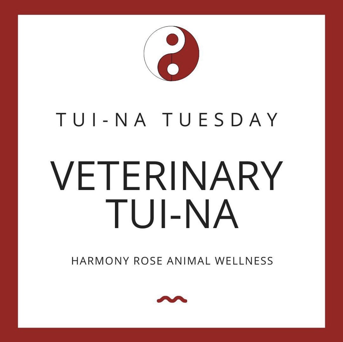 HarmonyRose_AW's tweet photo. TUI-NA TUESDAY ๐พ
Tui-na massage techniques can be demonstrated to pet parents to become a part of their pet's health care team and aid the healing process.
#TUINA #TUINATUESDAY #TCVM #integrativeveterinarymedicine
#harmonyroseanimalwellness #dogs #cats #acupuncturevet https://t.co/6dmjB3Y80c