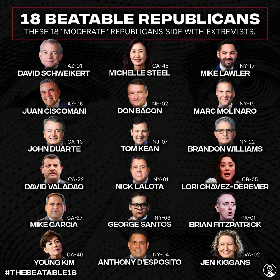 Vote Blue America tweet media