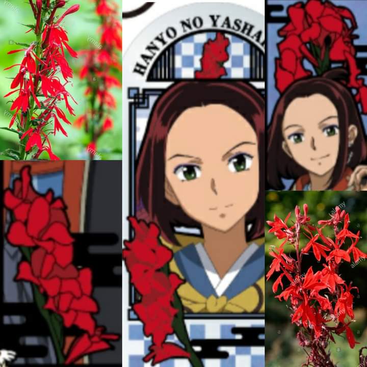 🖇- 𝐷𝐴𝑇𝑂 𝐶𝑈𝑅𝐼𝑂𝑆𝑂 ⊹🌺
En Inuyasha las flores que representa a cada personaje en sus parejas las flores ya sea del mismo mes o de la misma estación.

La Flor de jazmín (Towa) y la flor de Lobelia Cardianis (Riku) son de la misma estación 'primavera'
#ritowa #とわ #理玖