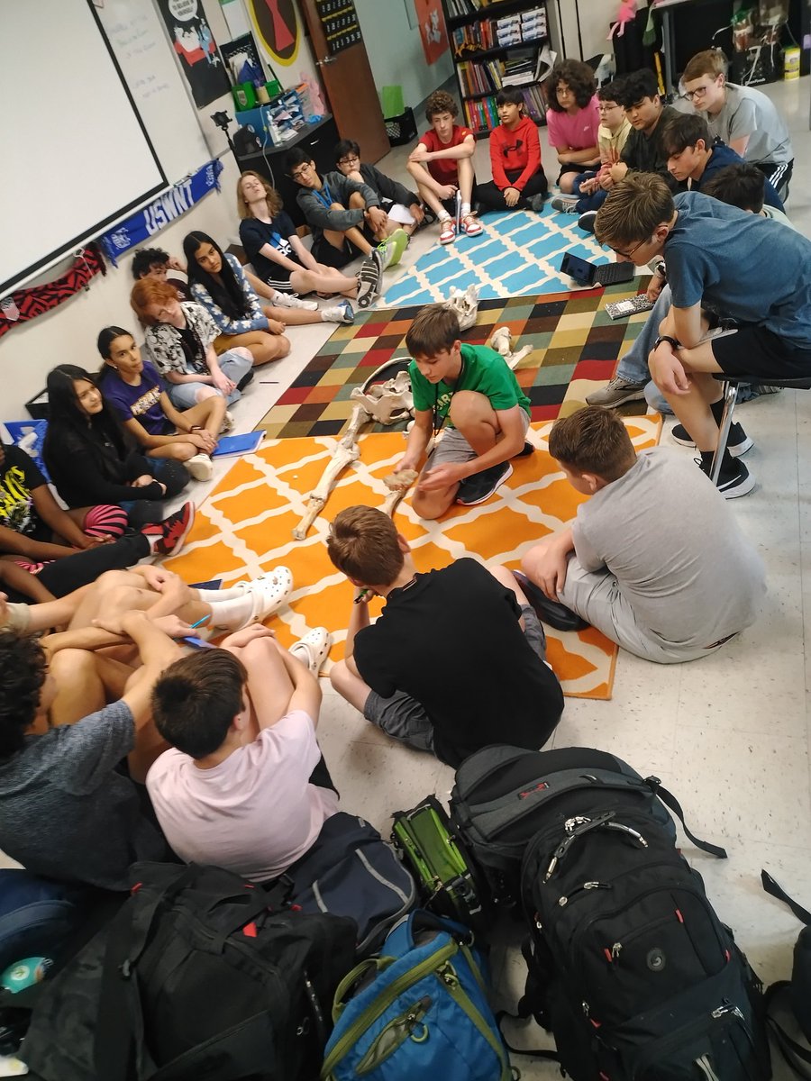 FisherFunCISD's tweet image. #ComalGT #WhyGT #TAGT Mysterious creature bones found.  Can we use our critical thinking skills and curiosity to uncover the truth after learning about bone articulation from @DrFisherATC?  GT rocks! @PRMSVipers @SKinginComal @JennineZZ