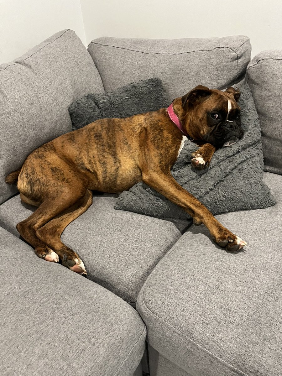 Lindsay C. Barry tweet media