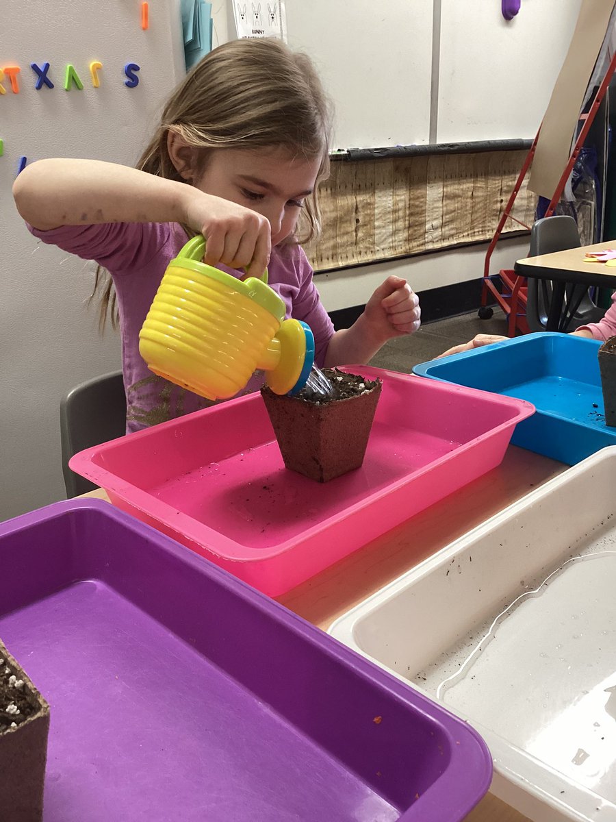 Hannah Delainey tweet media