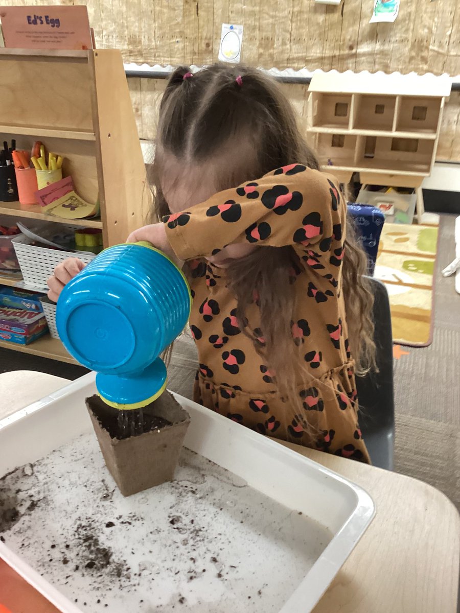 Hannah Delainey tweet media