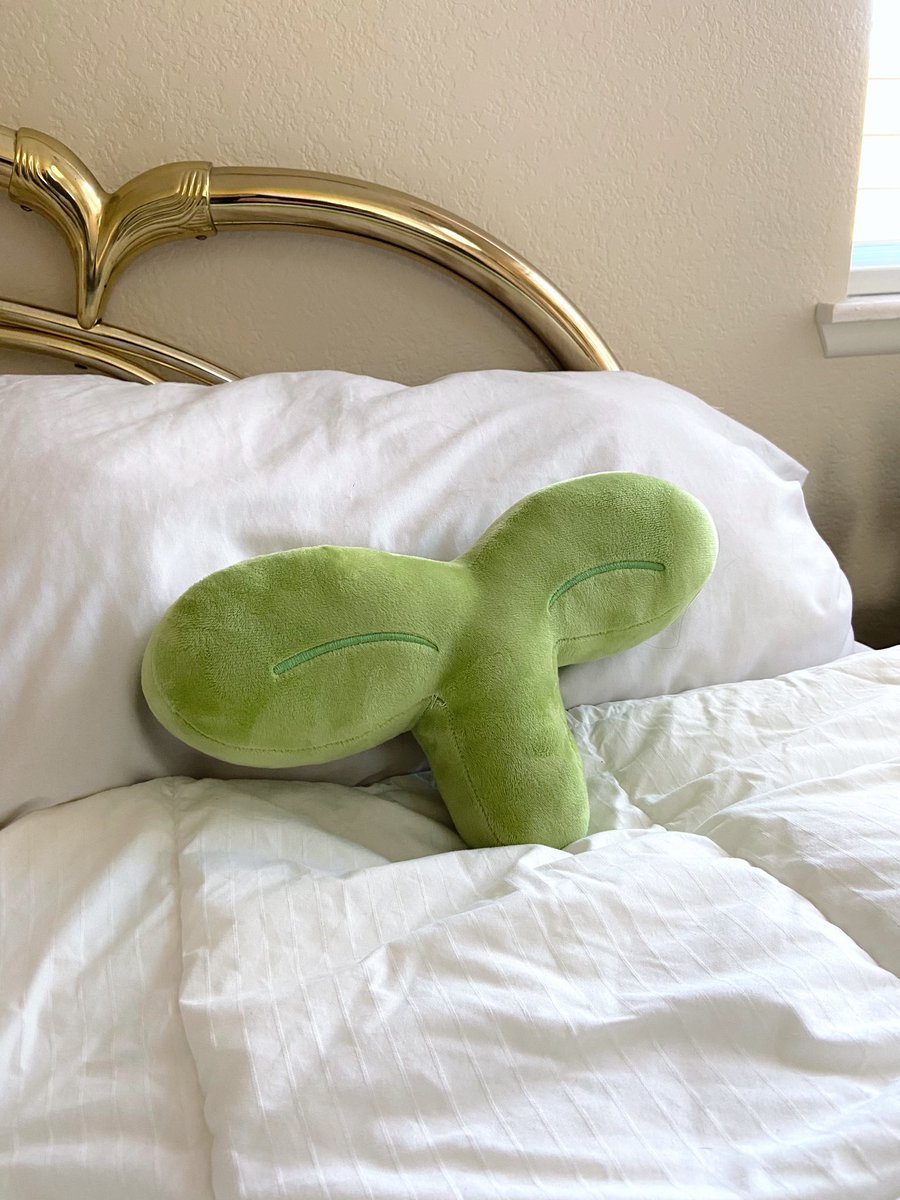 ciaraturnerart's tweet photo. 🌱 pillow https://t.co/8dce5nkV2b