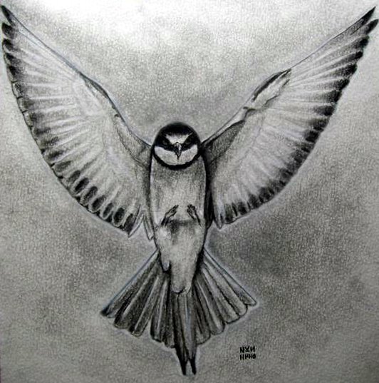 CountDrout's tweet photo. Bird sketch
 📷 #art #artmoots #artistontwittter #drawing #doodle #digitalpainting #sketch https://t.co/oj3UE0Ivws